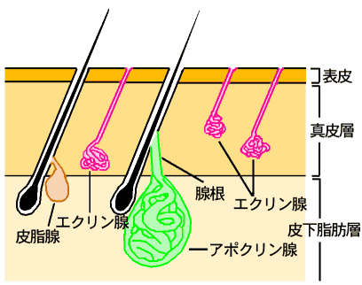 五味クリニック